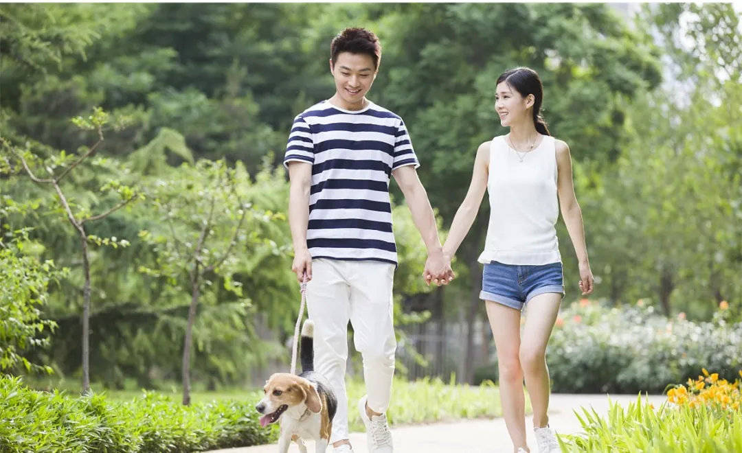 补充|瘦身也有“黄金时间”?把握好这几个时间段,轻松瘦到2位数!