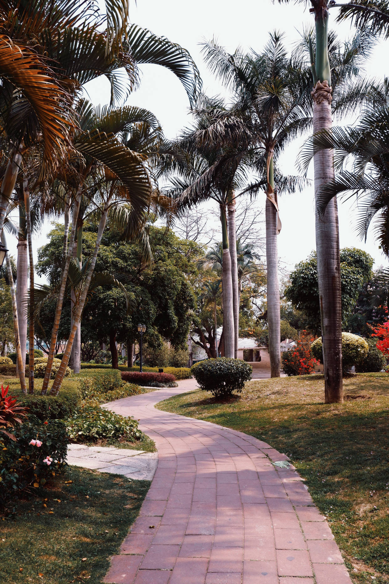 漳州第一公园始建于1918年华侨聚居地充满南洋风情