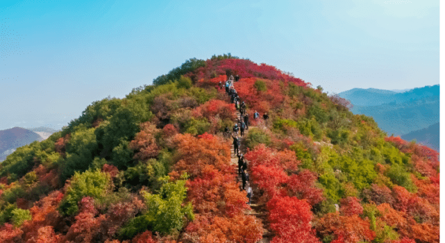 郑州互联网企业走进美丽乡村竹林长寿山