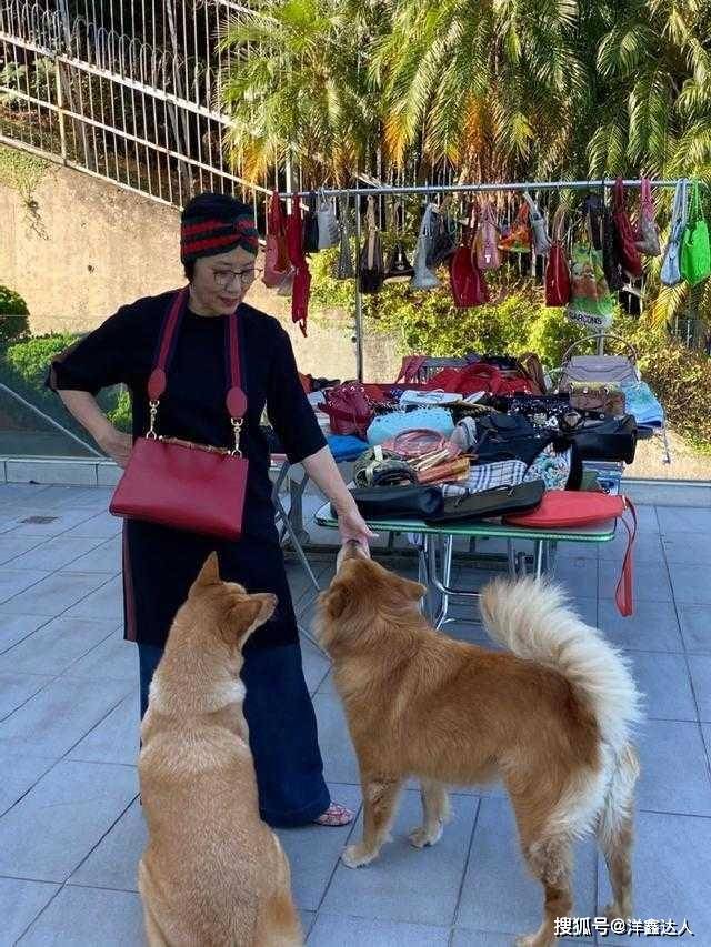 黑色 汪明荃哪像73岁？穿连衣裙配阔腿裤好洋气，拼色发带减龄20岁