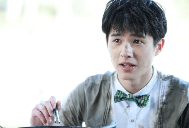 原创偶像也偏爱铁饭碗王源进体制内刘昊然考编成功网友质疑目的性