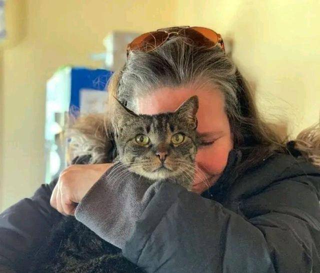 10岁老猫与主人5年后再重逢,它一眼就认出“妈妈” 10岁老猫与主人5年后再重逢,它一眼就认出“妈妈”