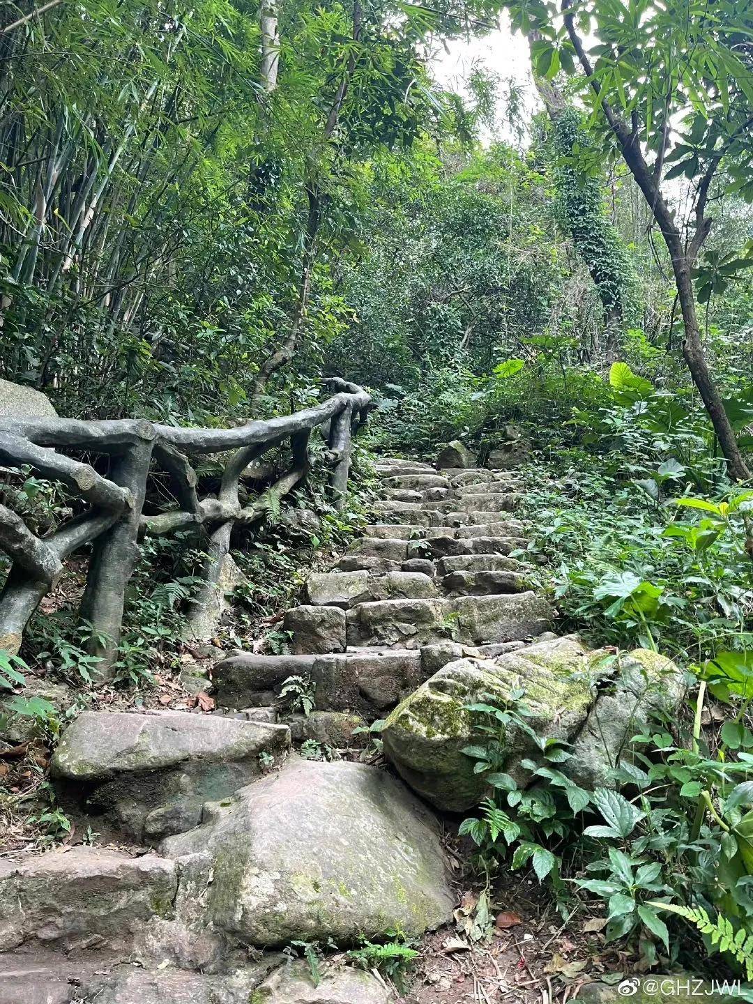 深圳小眾耍水地,這個週末一起去溯溪,看瀑布_老虎