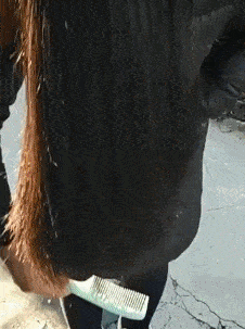 吓我一跳搞笑GIF：只有男人才懂的痛