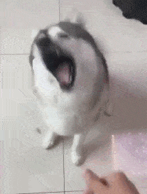 吓我一跳搞笑GIF：只有男人才懂的痛