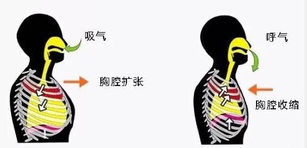 方法如何淡化妊娠纹？皮肤科医生：做好2件事，产后能恢复“干净肚”