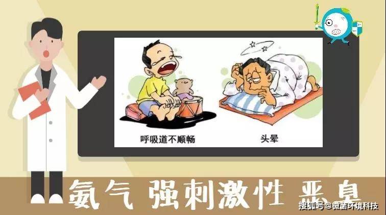 污水处理站为何这么臭有啥危害该如何解决