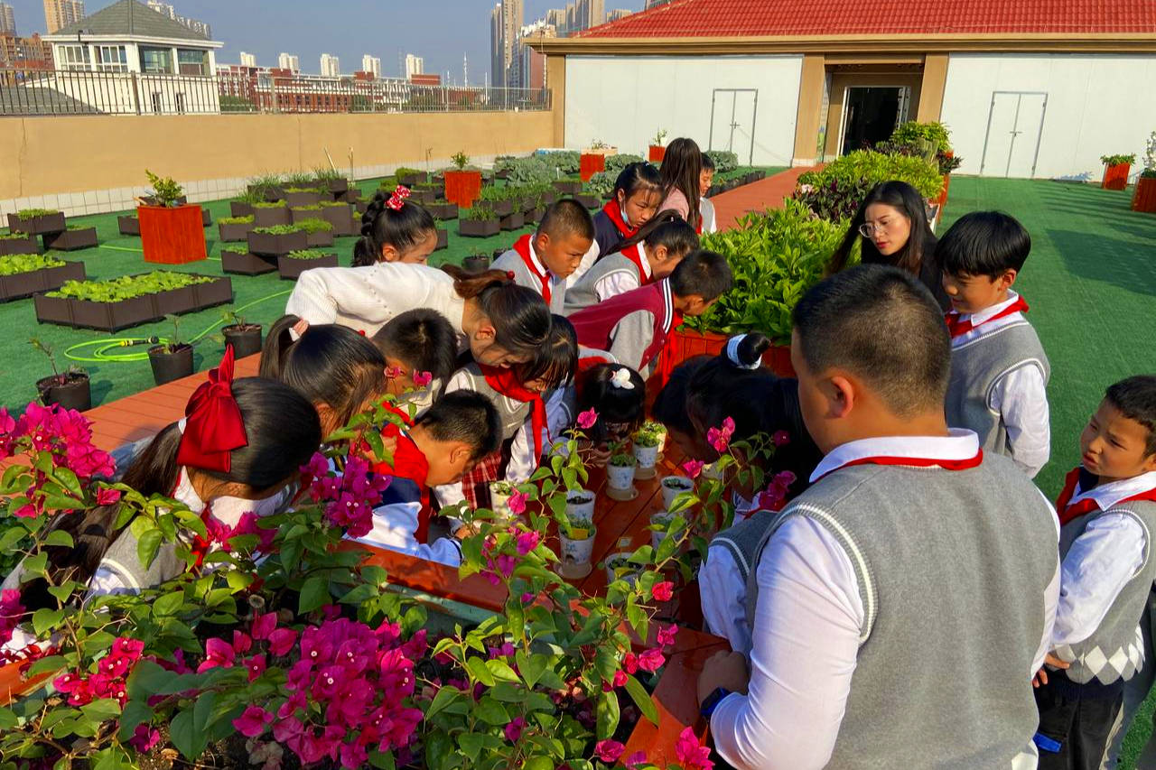 原创武汉市东西湖区恋湖小学打造多彩种植园落实双减