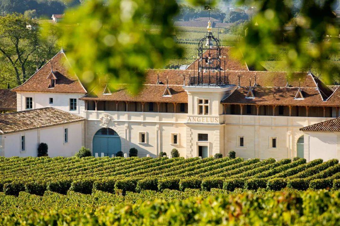 重磅金钟庄主被判有罪圣埃米利永葡萄酒协会紧急发声