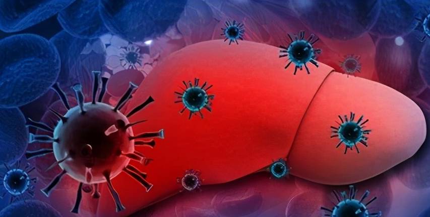 科普|小三阳只要DNA阳性,就要抗病毒?乙肝患者,请收下这封科普信