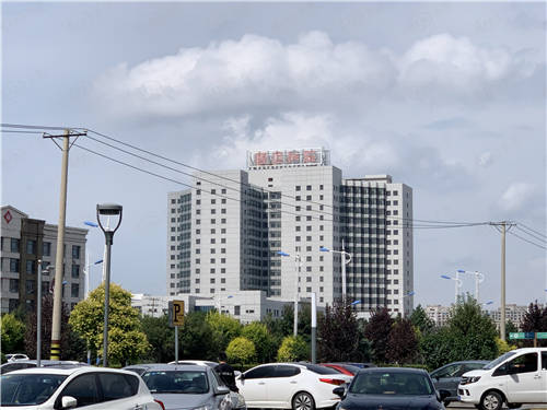 国翠园松北新区江南合院中式别墅 总价385-570万元_哈尔滨