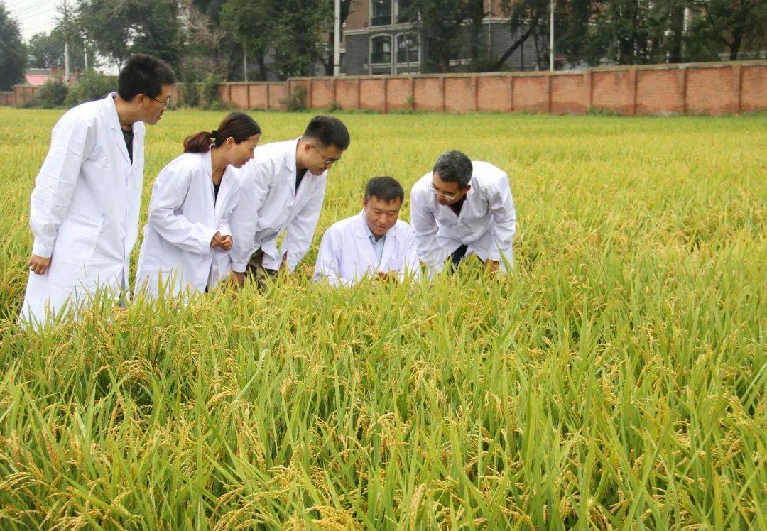 黑龙江省14项成果获国家科学技术奖励