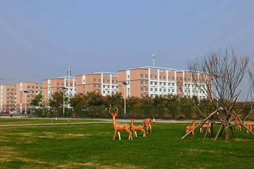 阳光|西安高新科技职业学院校园景色 | 和煦秋日