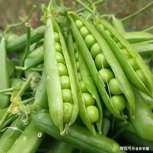 鸭子入秋后，女人想要皮肤白，记得吃6种食物，价格不高，营养丰富