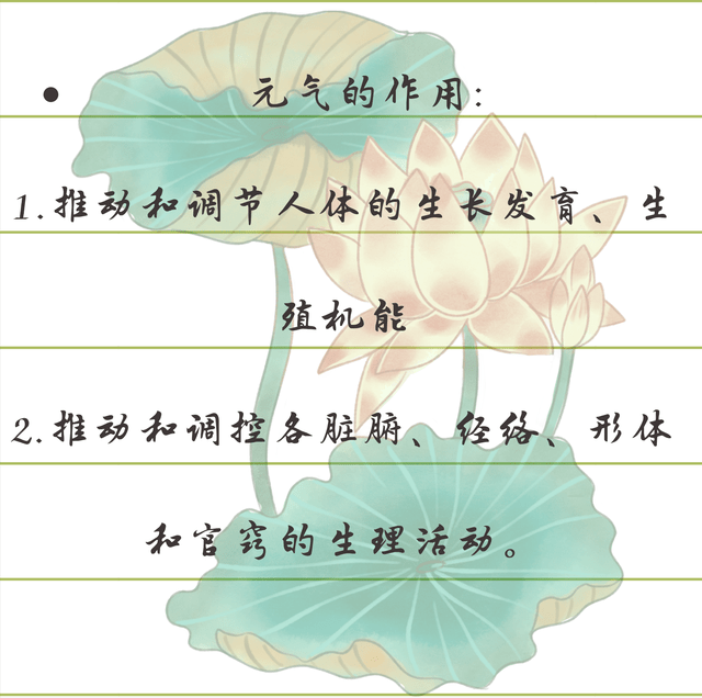 上药三品神与精气刘氏养生经第二篇固本培元