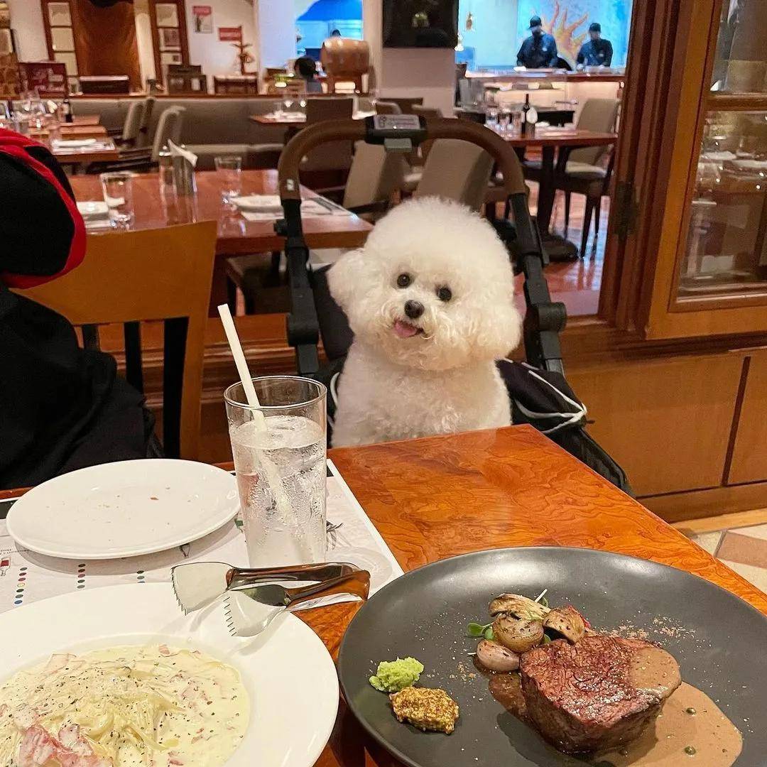 原创韩国超甜小奶狗爆红网络眼神勾人笑起来心都要萌化了