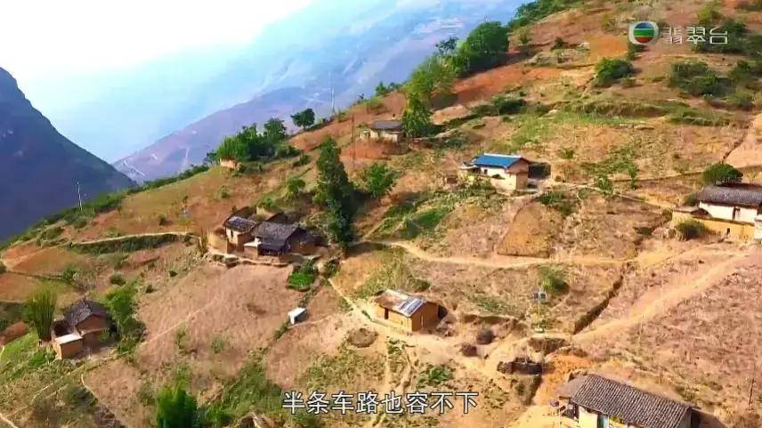 息网上发布做好重大信2021/12/31董洁的电视剧