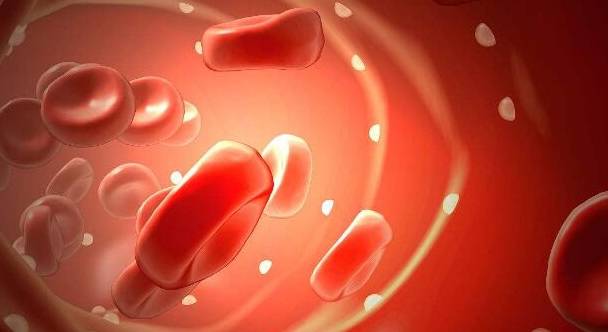 生活|肾病5年，除了尿蛋白和血肌酐，患者还需要了解哪些重要知识？