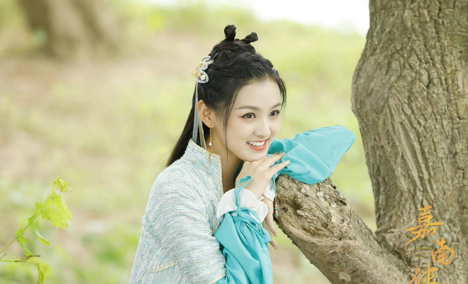 因为|《嘉南传》大结局,庆安登基称帝,赵翌的运气未免太好