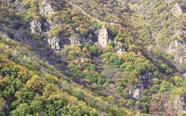 什么人不能去香山 4d31499cc80443aebf3256638b300628.png