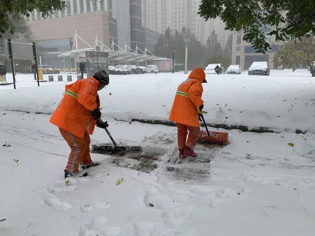 视频|你猜！雪中的武清有多美！