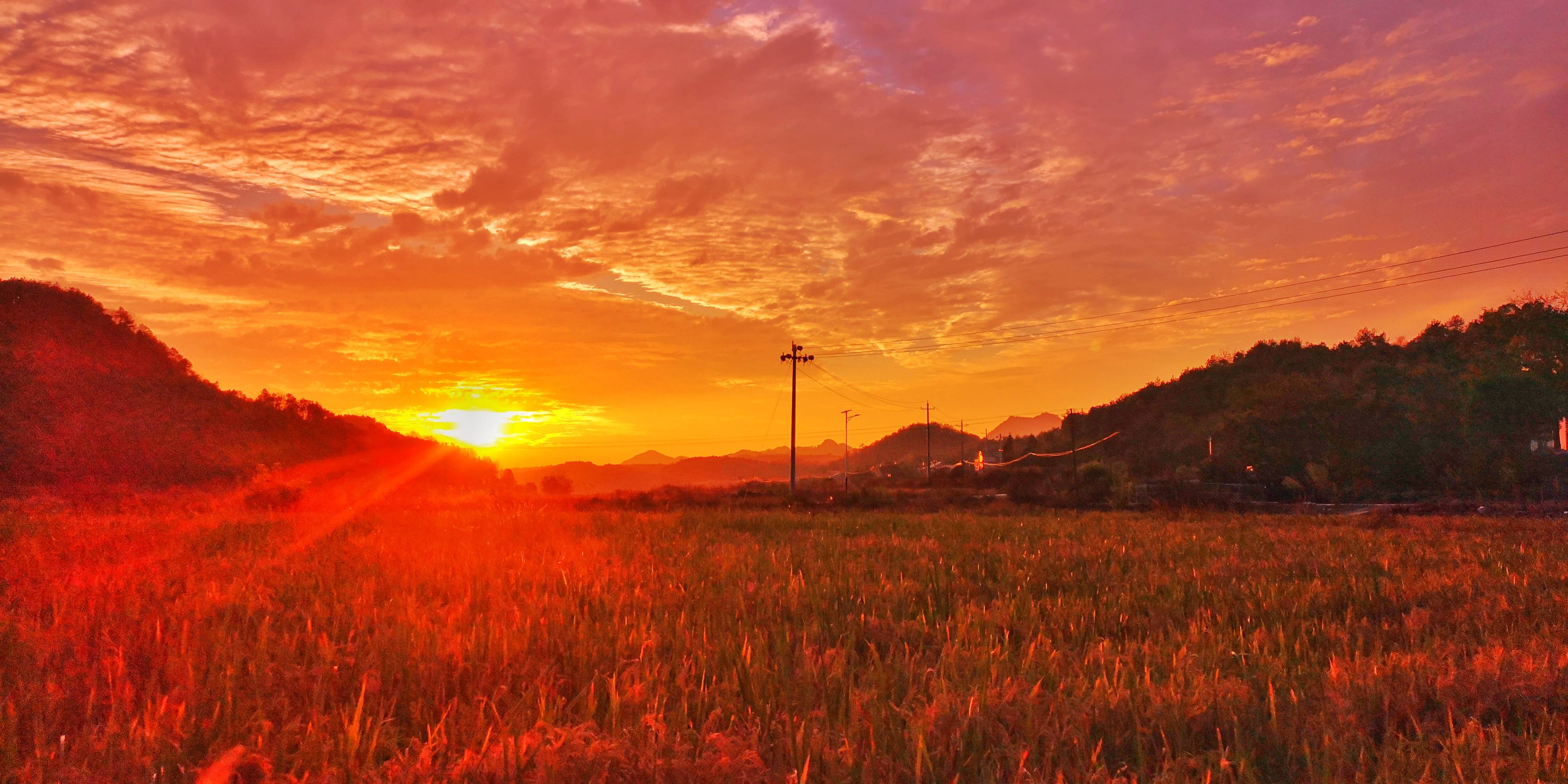晚霞|金色的田野