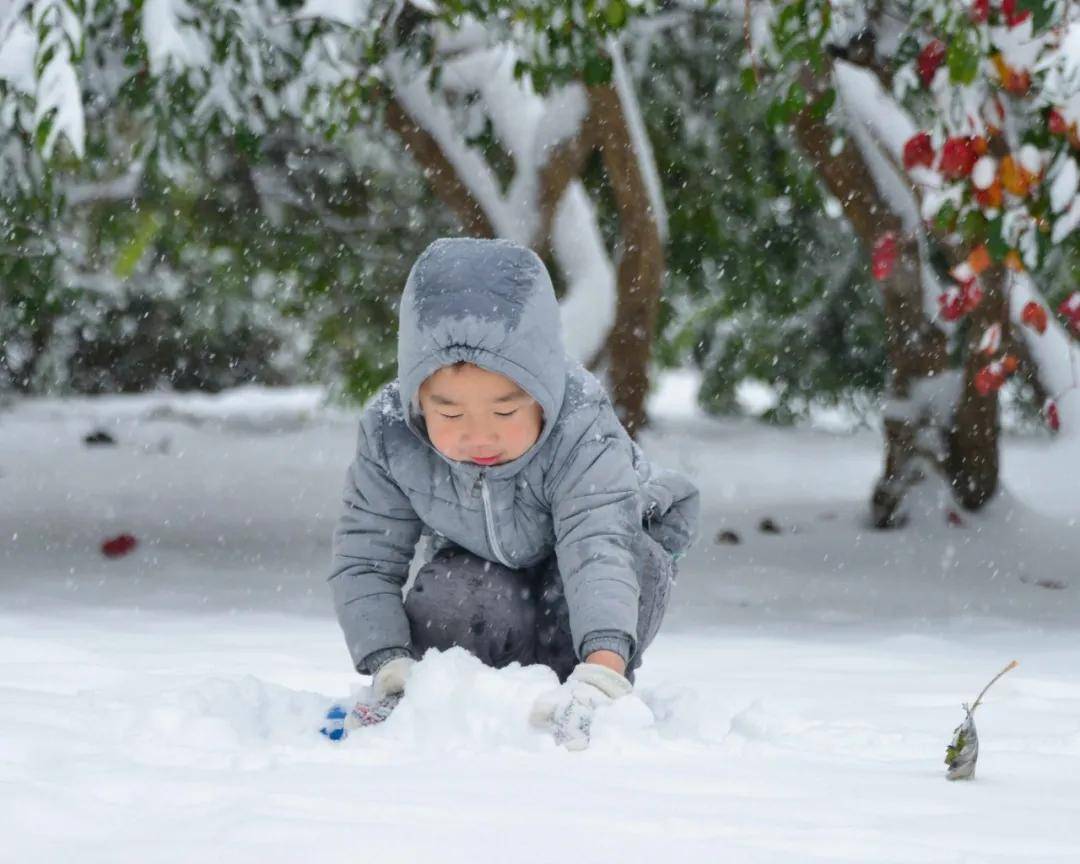 视频|你猜！雪中的武清有多美！