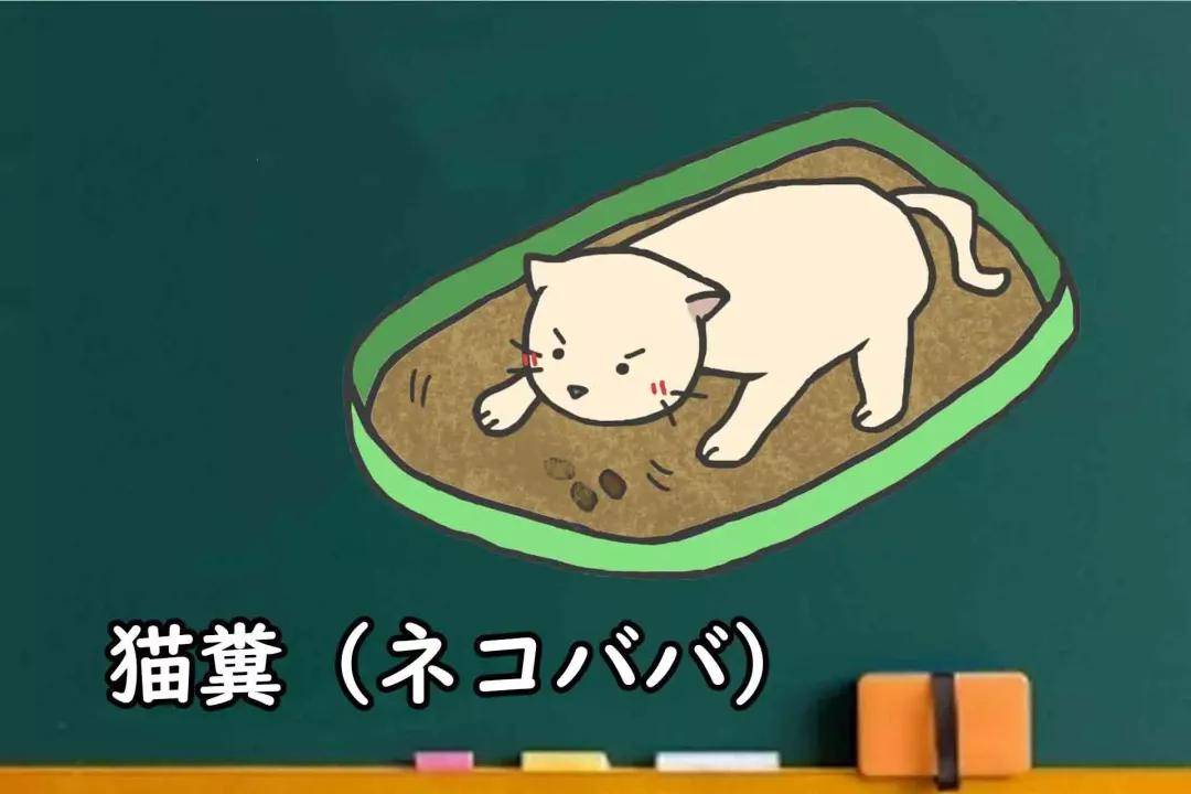 猫的日文怎么写