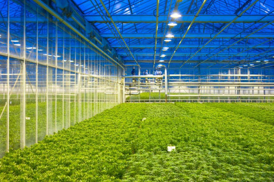 机器学习助力无人农场走向现实