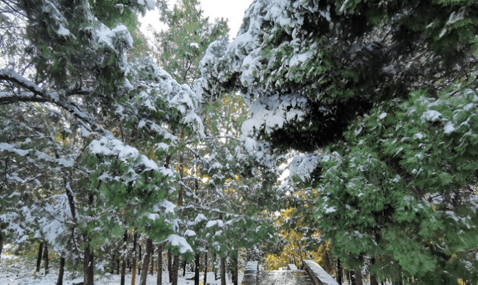 气象人的追雪记 一天看雪13回 记录天气变化密码 积雪