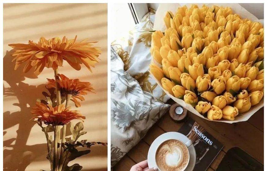 技能|最好的休息,是重燃生活的热情。这些小事,让假期更美好