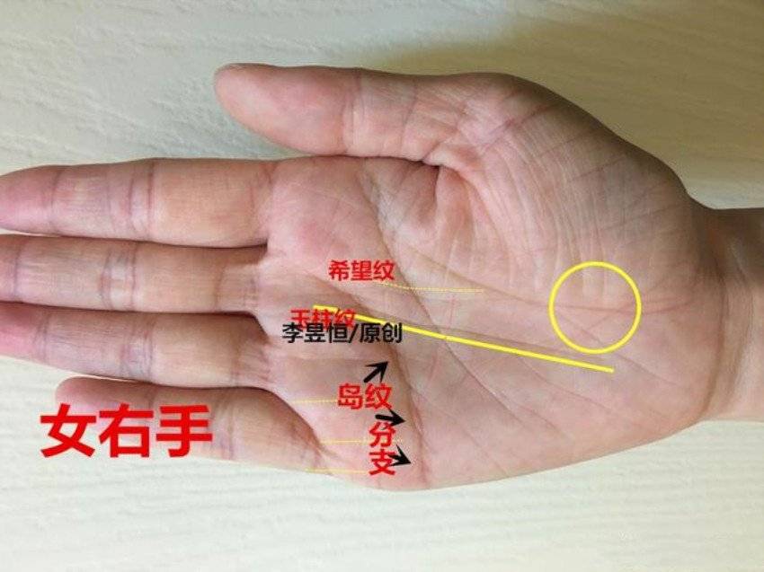 俗话:"十指簸箕没有斗,只往外簸没处装",何意?你有几个斗?_手指