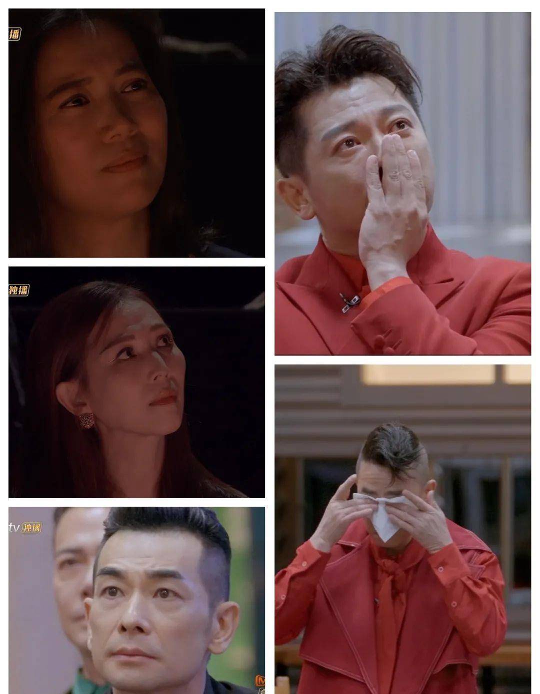 什么|直女看 “披哥”的快乐分你一半