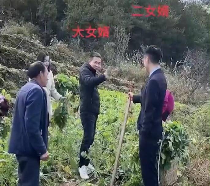 老丈人口才_东北老丈人剧情介绍东北老丈人剧情简介