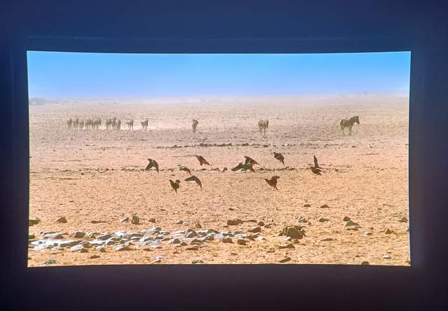 最近都在说的观影神器GOOVIS，到底怎么选？