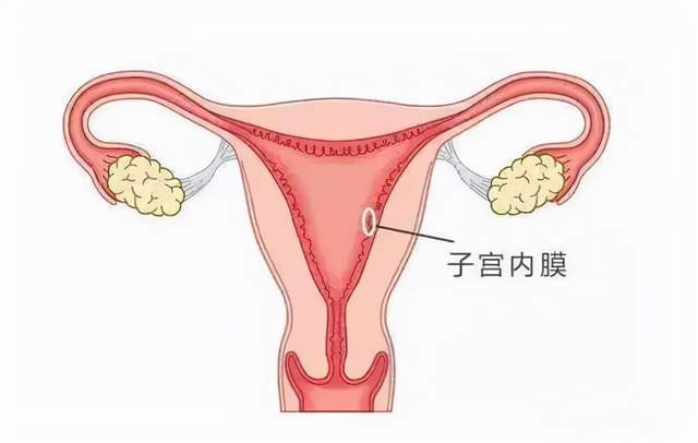 着床 6bcfdfa6e1de4fb1b1612e92cc8d72a0.jpeg