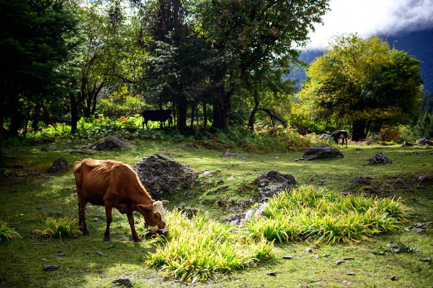 尼康Z 40mm f/2镜头评测：定义入门标头新标准
