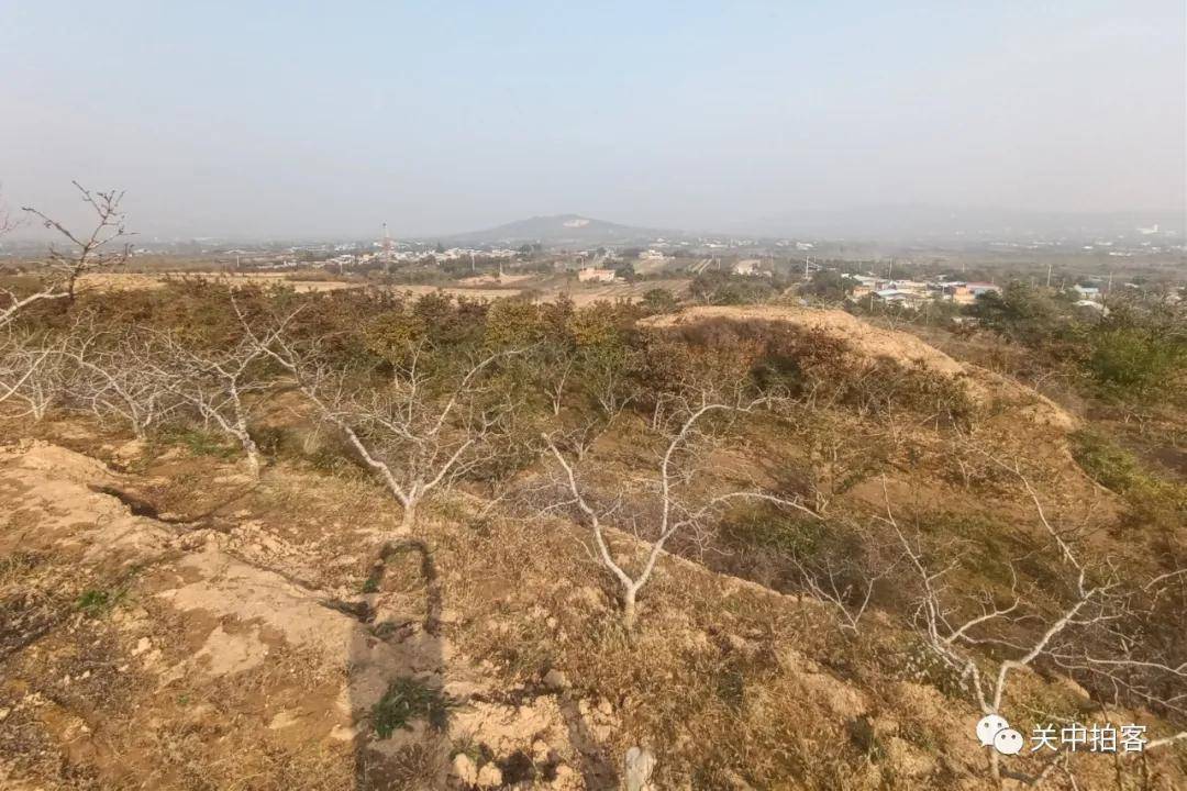 阙台|富平县白家崖村：寻访唐代宗元陵东门（青龙门）遗址