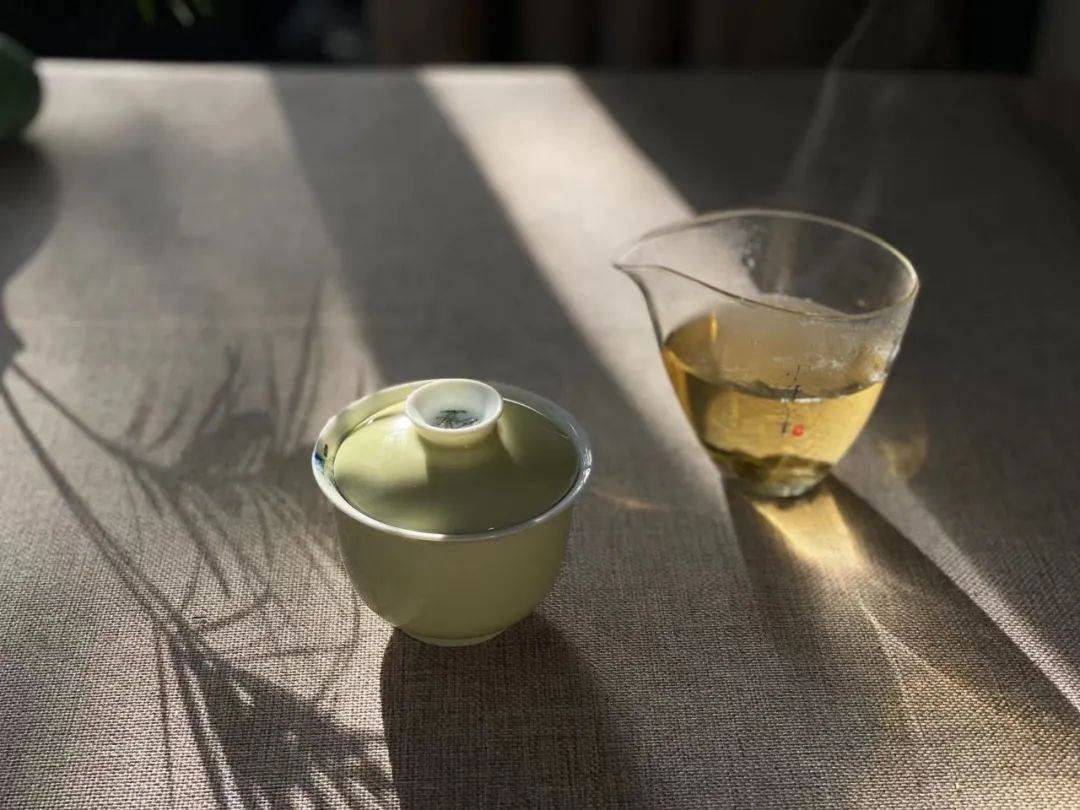知识科普|为什么说白茶越陈越香，越老越值钱？是销售套路吗？