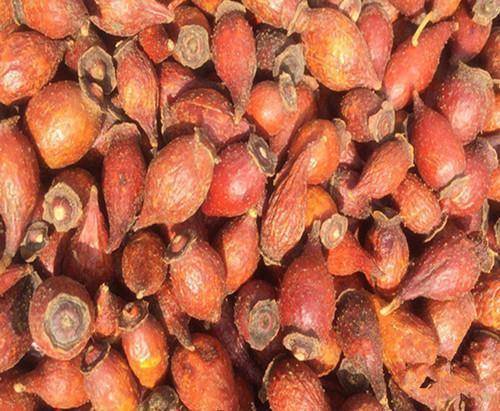 农村一种野果,人称"山鸡头子",泡酒是一绝,常喝能养生保健_樱子