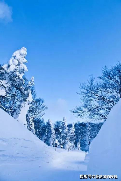 日本冬季“醉美地”排行Top10！第一名竟然不是北海道？