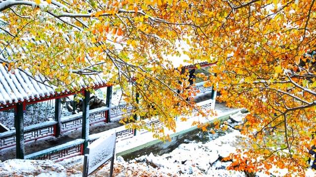 颐和园冬趣 | 一场雪后，超萌小雪人上线，心都要被萌化了