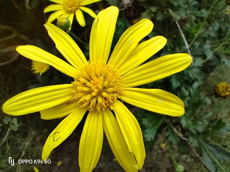 OPPO K9s上手体验：性能与颜值都兼得的超值千元超值机