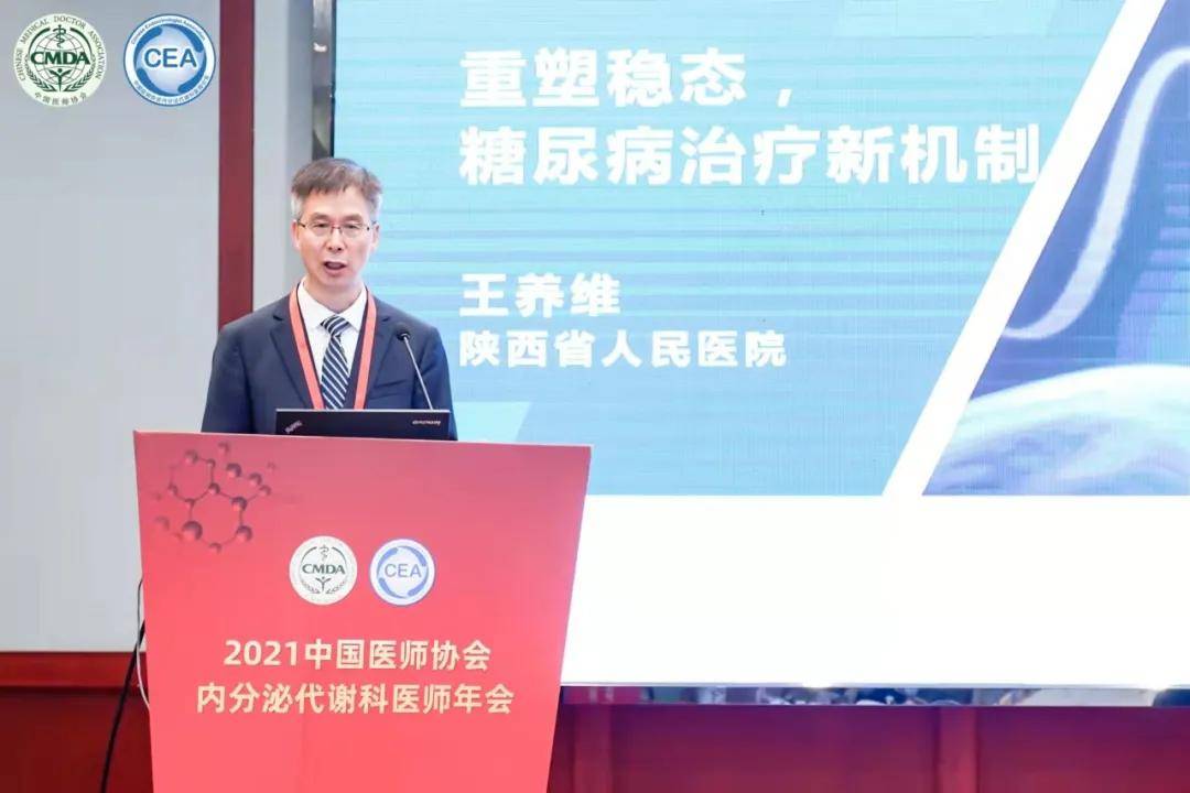 我国|联合国糖尿病日|人人享有糖尿病健康管理!