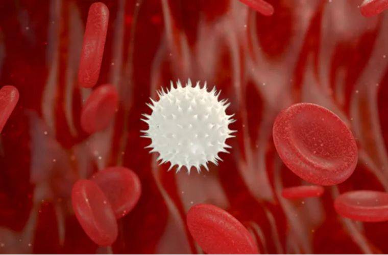 近200年人类身体竟发生了这样的变化再不调整后果不堪设想