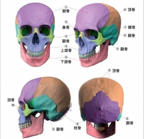 调整美人在骨不在皮，时光不败美人迷