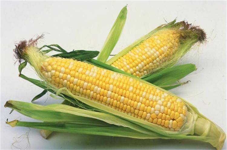 女孩子|不想水桶腰,试试以下3道菜,润肠通便,清热解毒,女性不错过