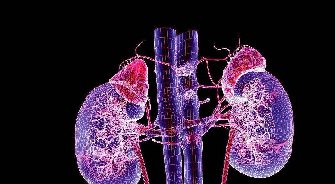 补充|肾脏疾病的病因是“慢性肾小球肾炎”，前期无症状，发现后中晚期