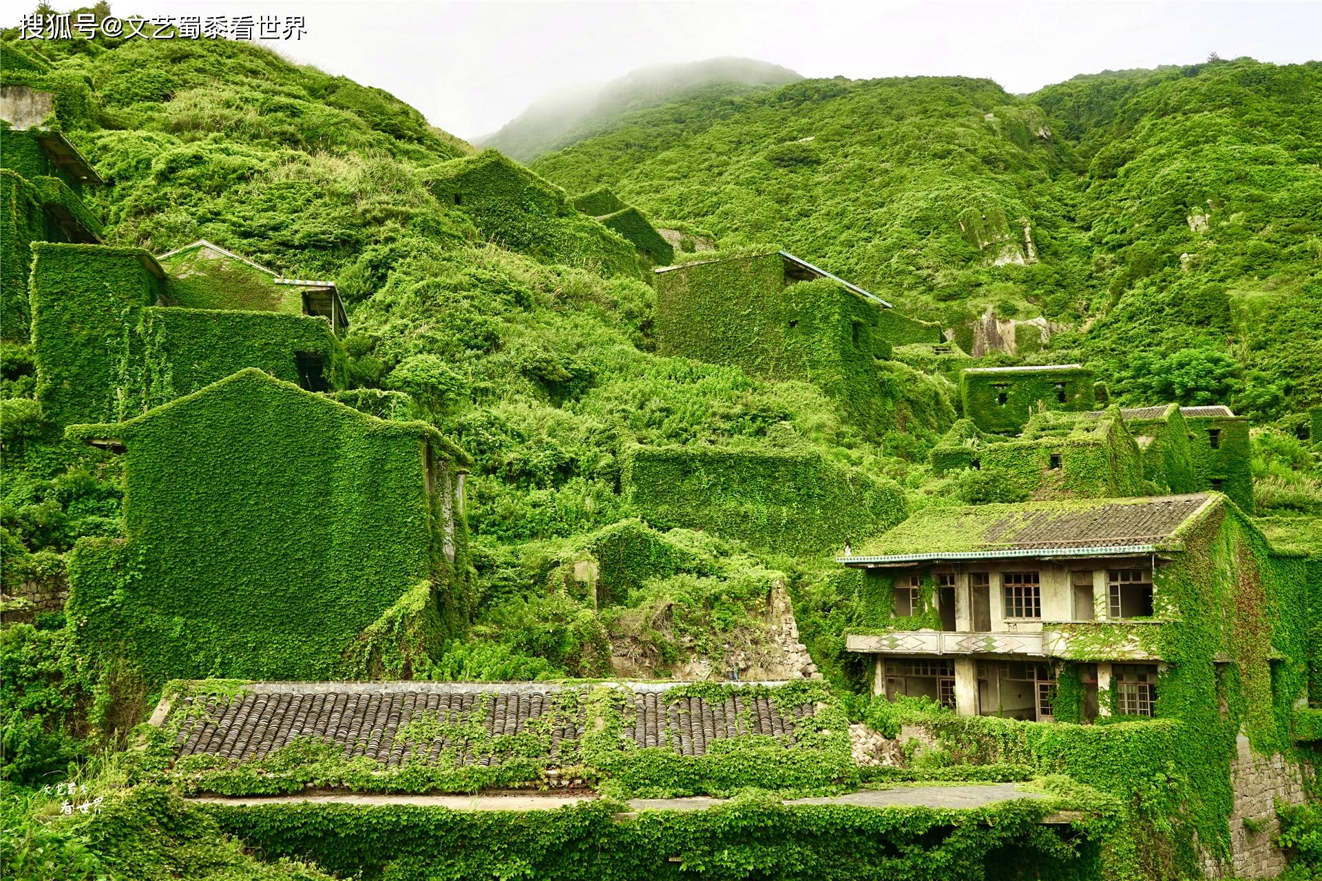 浙江舟山一无人村,引起英国《每日邮报》的关注,原因很梦幻