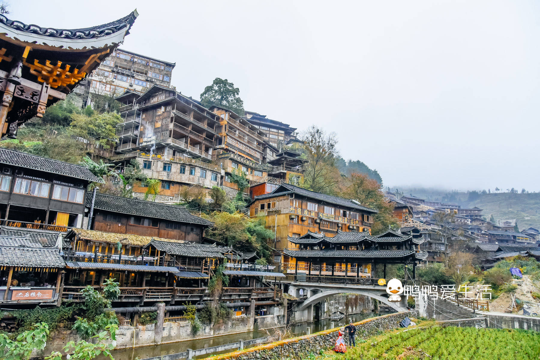 全世界|全世界最大苗族聚居村寨，余秋雨形容“以美丽回答一切”，有特色